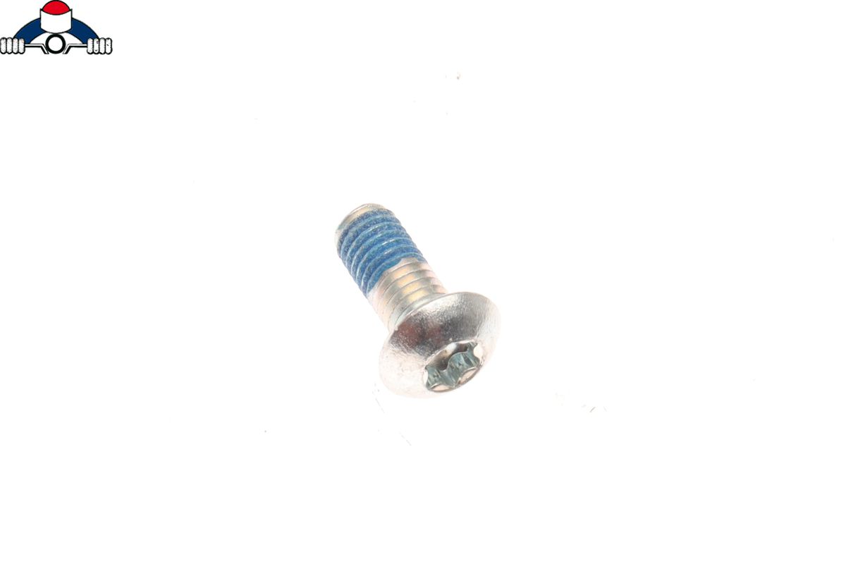 gr5 titanium legering bevestigingsmiddel voor industriële m4x10 schroef
